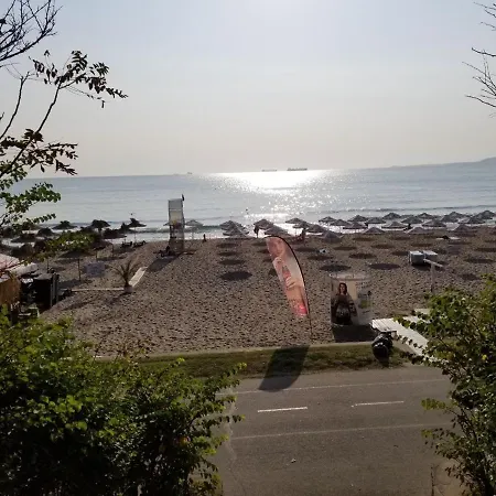 Lazur Flora Burgas *